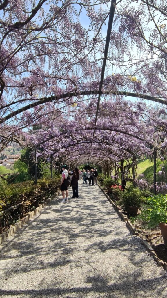 バルディーニ庭園 フィレンツェ観光