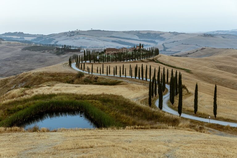 Italy, Tuscany, florence, Chianti, Chianti Classico, Countryside in Tuscany