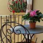 Monthly Rentals in Florence Monthly Stays in Florence Italy, AC Caiani Apartments